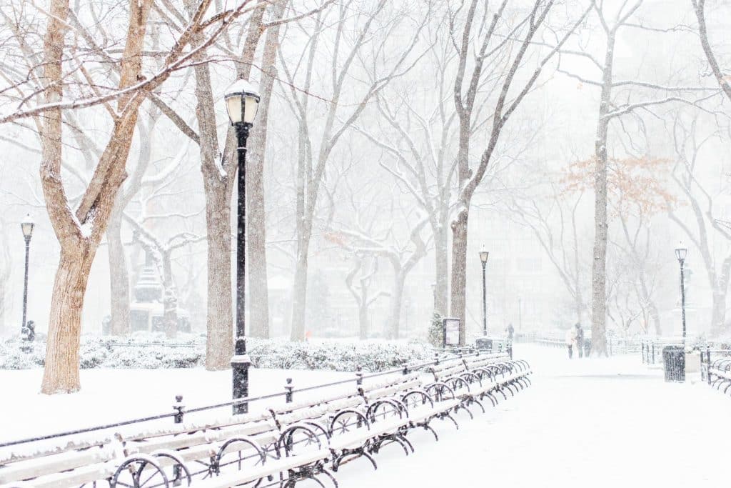 Parque em Nova York em um dia de muita neve,