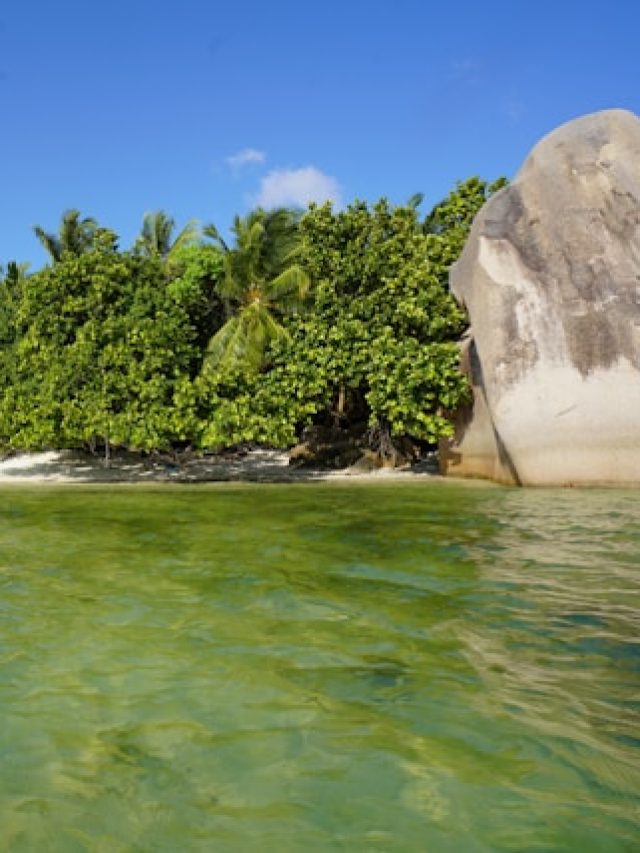 praias mais bonitas do mundo - Coris Seguro Viagem